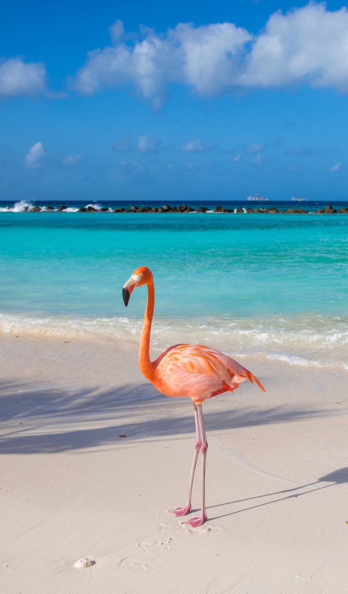 eSIM data plans for Aruba
