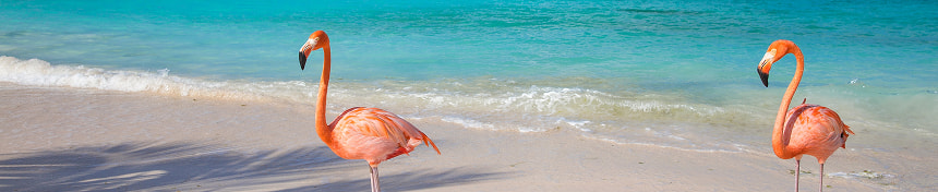 eSIM data plans for Aruba