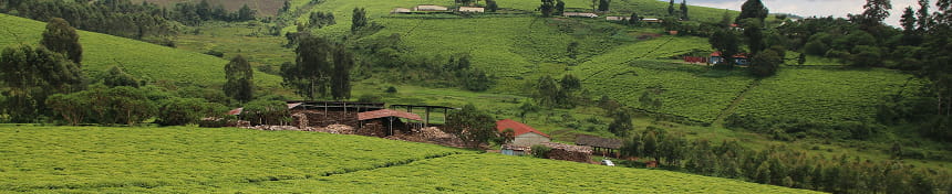 eSIM data plans for Burundi