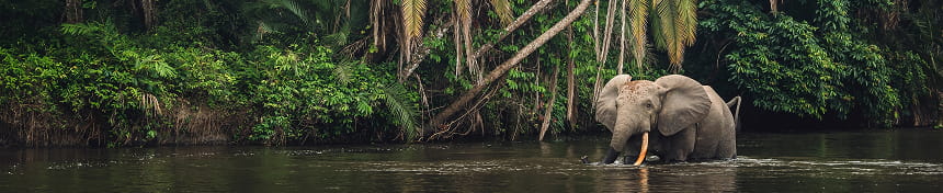 eSIM data plans for Congo-Brazzaville