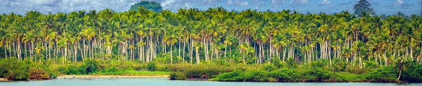 eSIM data plans for Costa d'Avorio