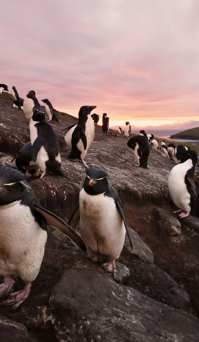 eSIM data plans for Isole Falkland