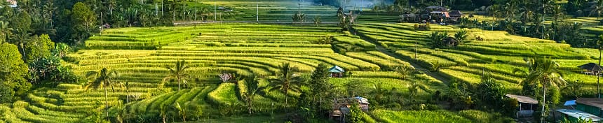 eSIM data plans for Indonesia