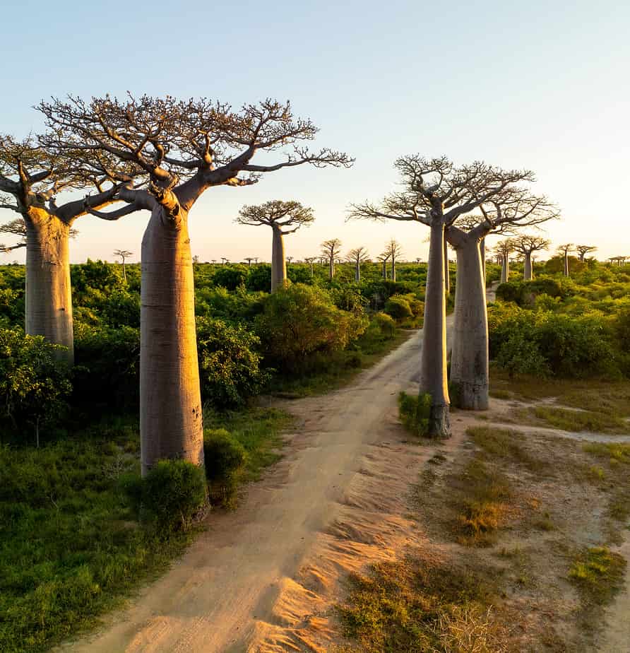 Madagascar