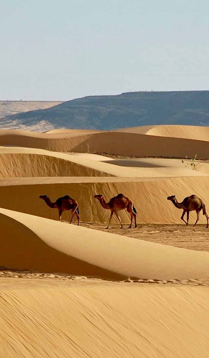 eSIM data plans for Mauritania