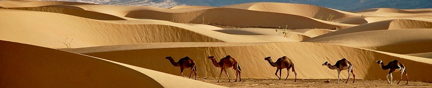 eSIM data plans for Mauritania