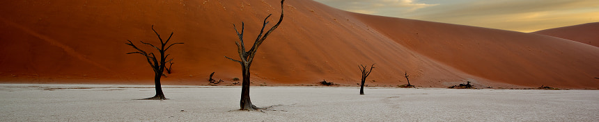 eSIM data plans for Namibia