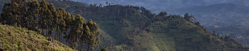 eSIM data plans for Ruanda